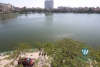 Lake view apartment available for rent in Quang An street, Tay Ho, Hanoi 